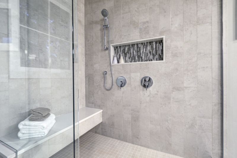 Sleek Shower Niche